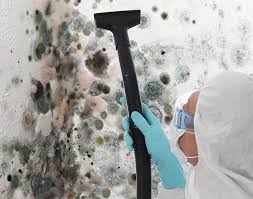 Union Hall, VA Mold Removal & Remediation Company